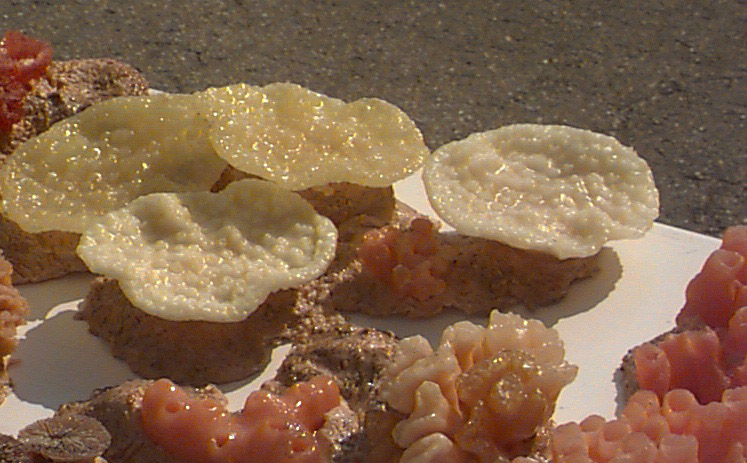 Coral